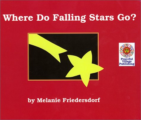 9780965806169: Where Do Falling Stars Go?