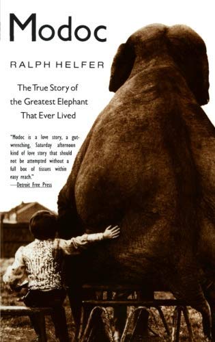Stock image for Modoc - The True Story Of The Greatest Elephant That Ever Lived for sale by HPB-Ruby
