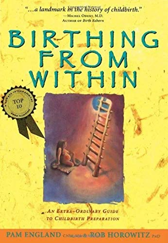 9780965987301: Birthing from within: An Extra-Ordinary Guide to Childbirth Preparation