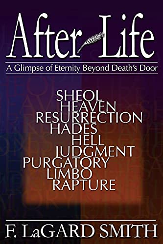 Stock image for After Life: A Glimpse of Eternity Beyond Death's Door for sale by HPB-Diamond