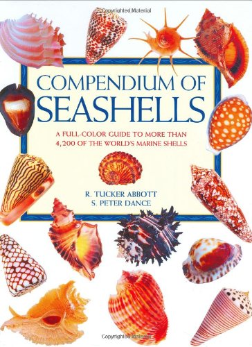 9780966172003: Compendium of Seashells: A Color Guide to More Than 4,200 of the World's Marine Shells