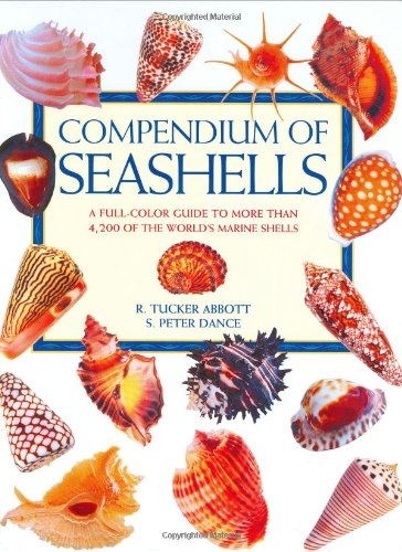 Compendium of Seashells - Abbott, R. Tucker