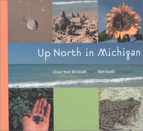 Imagen de archivo de Up North in Michigan a la venta por ThriftBooks-Dallas