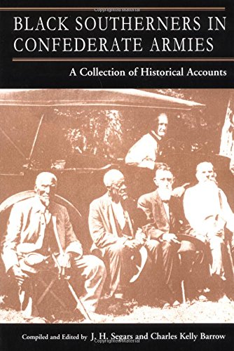 9780966245417: Black Southerners in Confederate Armies