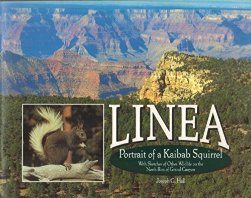 Stock image for Linea: Portrait of a Kaibab squirrel : with sketches of other wildlife on the North Rim of Grand Canyon for sale by SecondSale