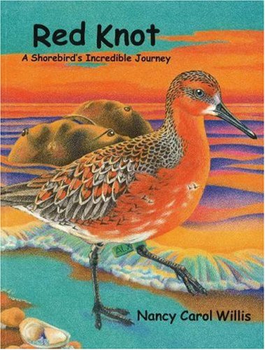 Imagen de archivo de Red Knot: A Shorebird's Incredible Journey a la venta por The Unskoolbookshop