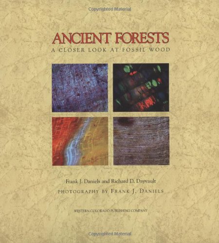 9780966293814: Ancient Forests: A Closer Look at Fossil Wood