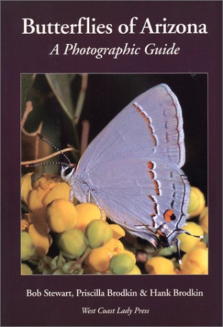 Butterflies of Arizona: a Photographic Guide