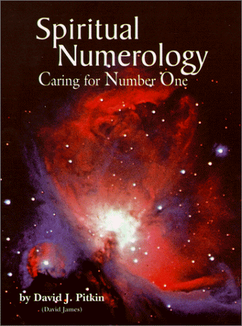 Stock image for Spiritual Numerology : Caring for Number One for sale by Better World Books