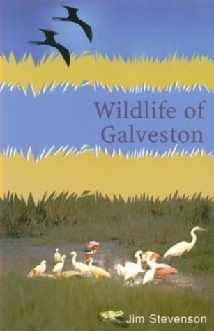 Wildlife of Galveston