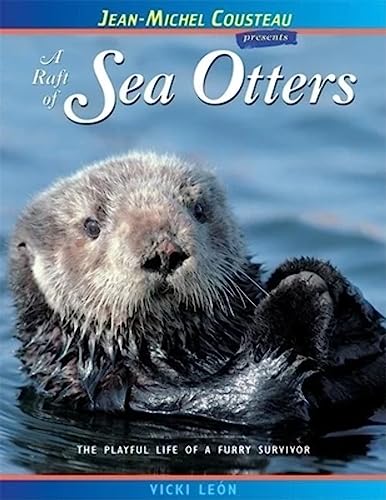 9780966649048: Raft of Sea Otters: The Playful Life of a Furry Survivor