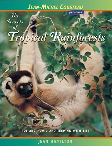 Stock image for The Secrets of Tropical Rainforests for sale by BooksRun