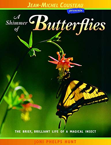 9780966649062: A Shimmer of Butterflies: The Brief, Brilliant Life of a Magical Insect (Jean-Michel Cousteau Presents)