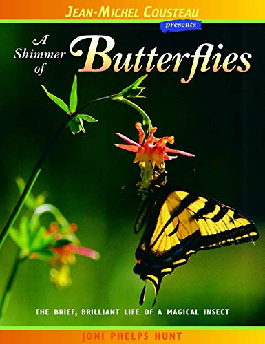 Stock image for A Shimmer of Butterflies for sale by HPB-Diamond