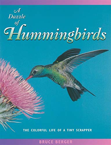 Stock image for A Dazzle of Hummingbirds : The Colorful Life of a Tiny Scrapper for sale by Better World Books