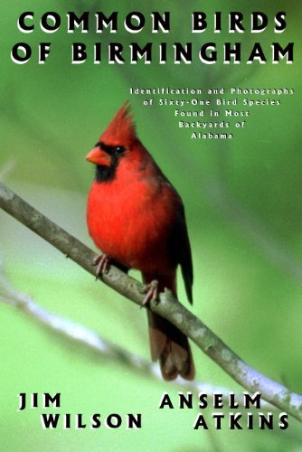 Common birds of Birmingham (9780966724028) by Wilson, Jim