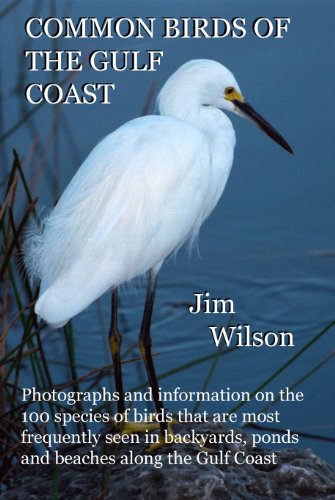 9780966724059: Common Birds of the Gulf Coast