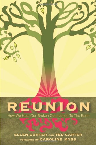 Stock image for Reunion: How We Heal Our Broken Connection to the Earth for sale by ThriftBooks-Dallas