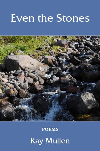 Stock image for Even the Stones for sale by Better World Books