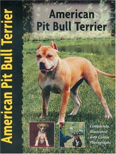American Pit Bull Terrier - Favorito, F.