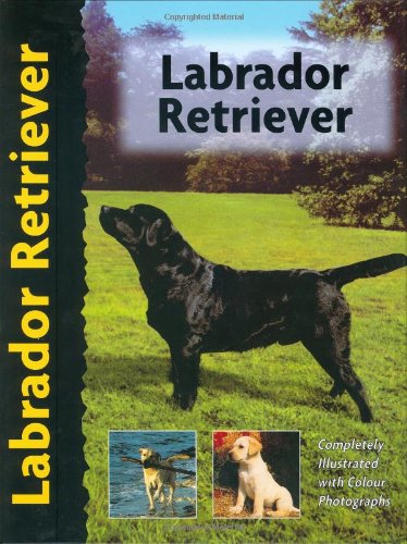 Imagen de archivo de Labrador Retriever - Dog Breed Book (Pet Love) a la venta por WorldofBooks