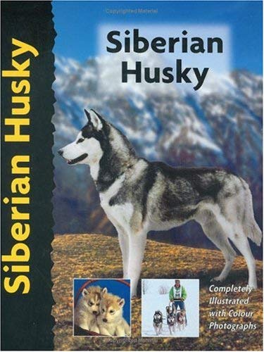 Imagen de archivo de Siberian Husky (Pet Love S.) a la venta por WorldofBooks