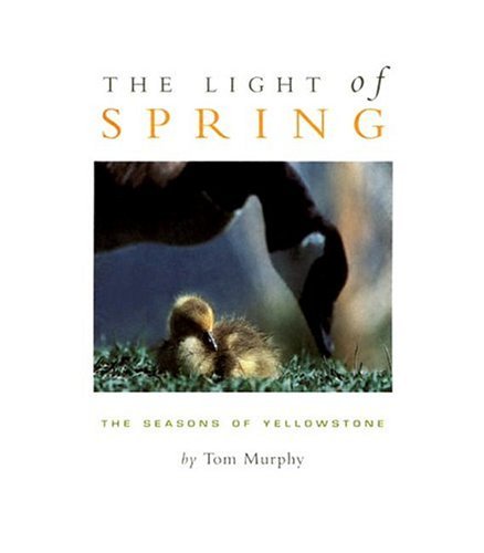 Stock image for The Light of Spring: The Seasons of Yellowstone for sale by Orion Tech