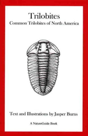 Stock image for Trilobites: Common Trilobites of North America (A NatureGuide book) for sale by ThriftBooks-Atlanta
