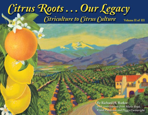 Stock image for Citrus Roots.our Legacy Citriculture to Citrus Culture - Volume II of III for sale by Jeff Stark