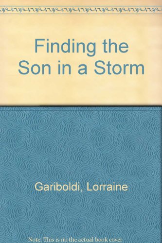 Imagen de archivo de Finding the Son in a Storm a la venta por The Yard Sale Store