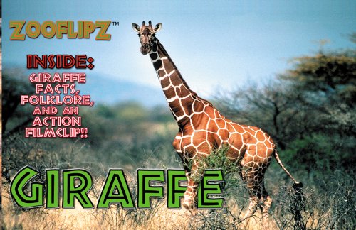 Stock image for Flipworkz flipbooks: 4 x Giraffe for sale by SecondSale