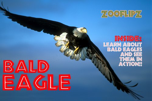 Stock image for Wildlife Flipbooks (Bald Eagle) for sale by Better World Books