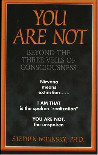 Beispielbild fr You Are Not: Beyond the Three Veils of Consciousness zum Verkauf von ThriftBooks-Atlanta