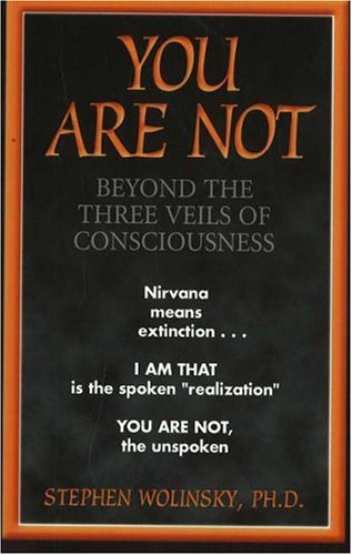 You Are Not: Beyond the Three Veils of Consciousness (9780967036298) by Wolinsky, Stephen