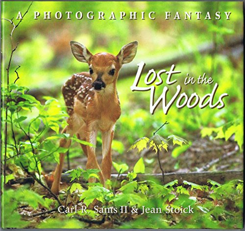 Stock image for Lost In The Woods: A Photographic Fantasy for sale by SecondSale