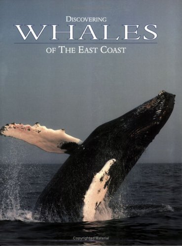 Beispielbild fr Discovering Whales of the East Coast zum Verkauf von Wonder Book