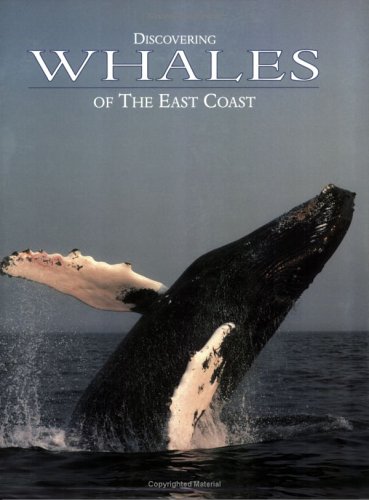 Imagen de archivo de Discovering Whales of the East Coast a la venta por Wonder Book