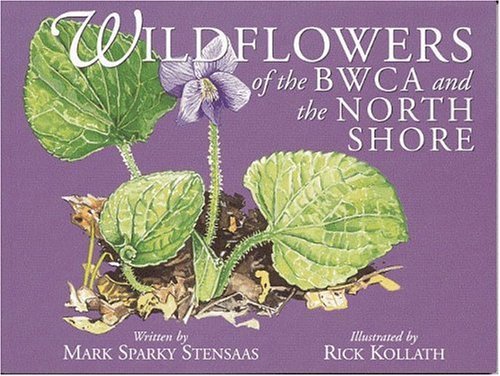 Stock image for Wildflowers of the BWCA and the North Shore (North Woods Naturalist Guides) for sale by HPB-Ruby