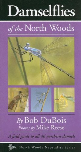 9780967379371: Damselflies of the North Woods (North Woods Naturalist Guides)