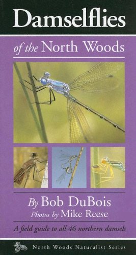 Stock image for Damselflies of the North Woods for sale by Blue Vase Books