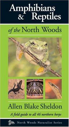 Stock image for Amphibians & Reptiles of the North Woods for sale by Books Unplugged