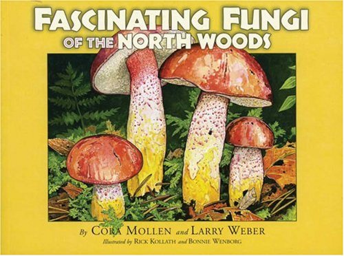 Beispielbild fr Fascinating Fungi of the North Woods zum Verkauf von Better World Books