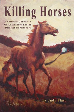 9780967397573: Killing Horses: A Personal Chronicle of an Environmental Disaster in Missouri