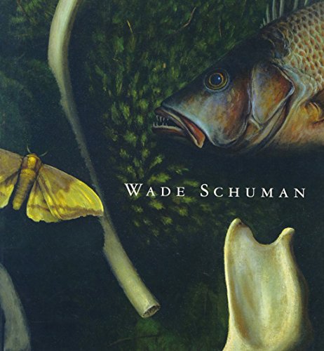 Stock image for Wade Schuman Aspects of View for sale by The Second Reader Bookshop