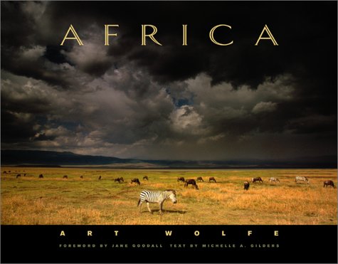 Imagen de archivo de Africa a la venta por Grumpys Fine Books