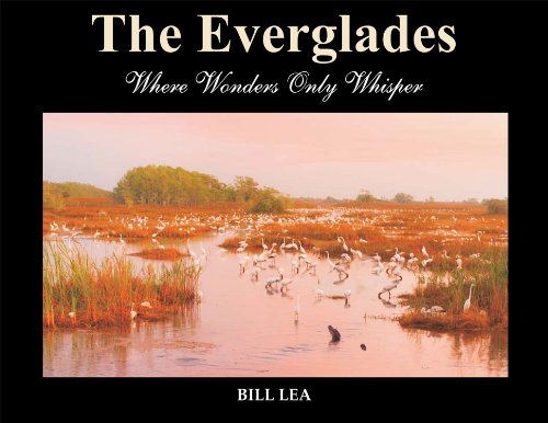 Beispielbild fr The Everglades: Where Wonders Only Whisper zum Verkauf von Zoom Books Company