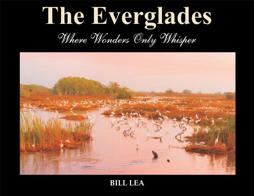 Stock image for The Everglades: Where Wonders Only Whisper for sale by Zoom Books Company