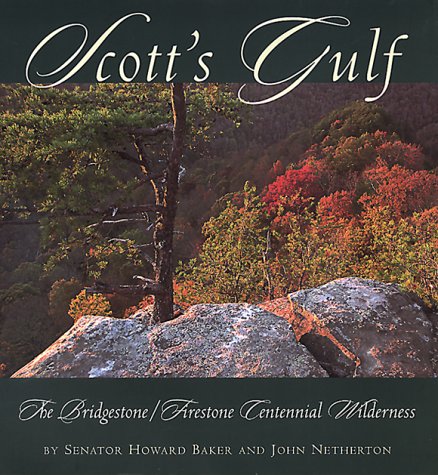 Imagen de archivo de Scott's Gulf : The Bridgestone/Firestone Centennial Wilderness a la venta por Better World Books