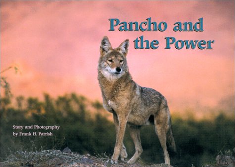 Beispielbild fr Pancho and the Power zum Verkauf von Better World Books