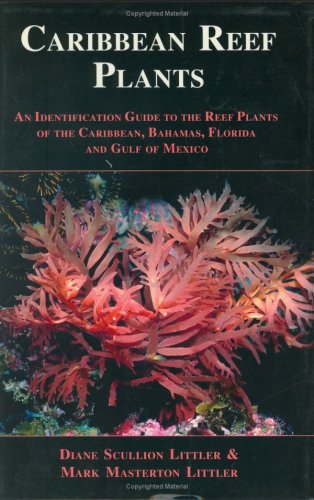 Imagen de archivo de Caribbean Reef Plants a la venta por The Book Chaser (FABA)